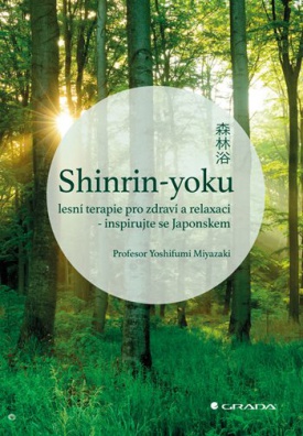 Shinrin-yoku - lesní terapie pro zdraví a relaxaci - inspirujte se Japonskem