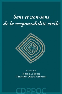 Sens et non-sens de la responsabilité civile - 1re édition
