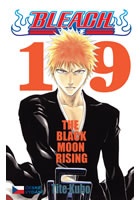 Bleach 19: Black Moon Rising