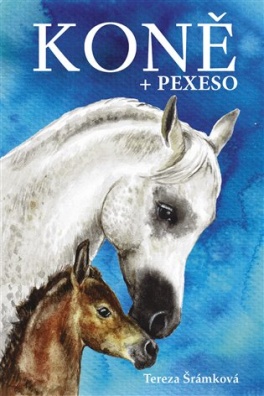 Koně - pexeso