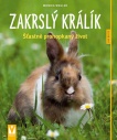 Zakrslý králík, Šťastně prohopkaný život