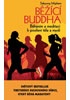 Běžící Buddha - Běháním a meditací k posílení těla a mysli
