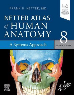 Netter Atlas of Human Anatomy: A Systems Approach : paperback