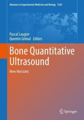 Bone Quantitative Ultrasound : New Horizons