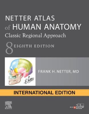 Netter Atlas of Human Anatomy: Classic Regional Approach : paperback 8th edition