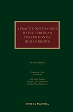 Practitioner's Guide to the European Convention on Human Rights, A 7th Edition