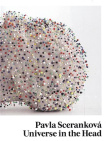 Vesmír v hlavě - Universe in the Head 