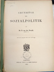 Grundzüge der Socialpolitik