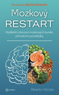 Mozkový restart
