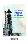 Prague in Thaw. Praha za času plujících ker