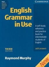 English Grammar in Use CD-ROM for Windows