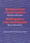Mnohojazyčnost v České republice, Základní informace