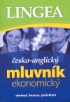 Česko-anglický mluvník ekonomický (obchod,finance,podnikání)