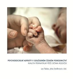 Psychosociální aspekty v současném českém porodnictví