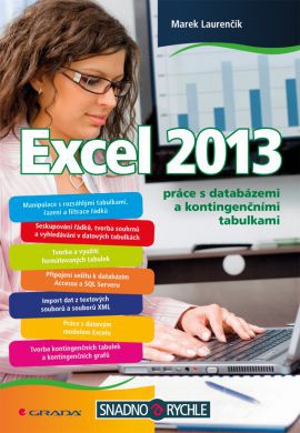 Excel 2013 - práce s databázemi a kontingenčními tabulkami
