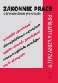 Zákonník práce s komentárom po novele - príklady a vzory smluv